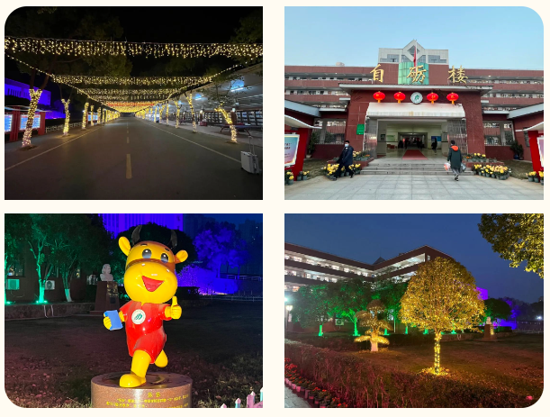 2023元旦联欢 | 喜迎新年 筑梦cq9电子平台网站